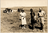 LIV19245