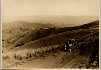 LIV19247