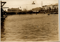 LIV19250