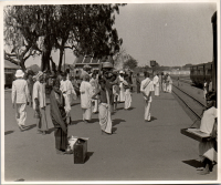 LIV19260