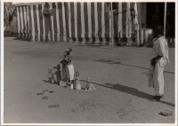 LIV19261