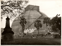LIV19263
