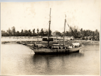 LIV19268