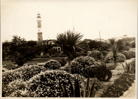 LIV19273