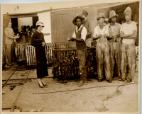LIV19278