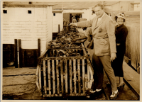 LIV19279