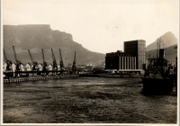 LIV19281