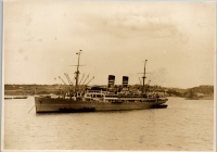 LIV19286