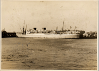LIV19287
