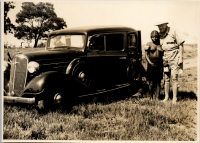 LIV19288