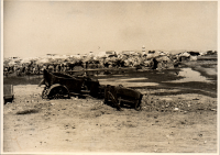 LIV19294