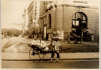 LIV19295