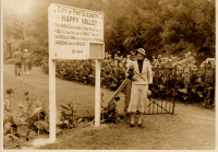 LIV19299