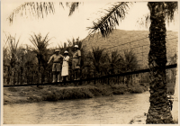 LIV19308