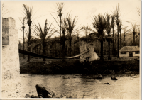 LIV19309