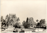 LIV19320