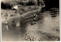 LIV19321