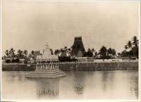 LIV19323