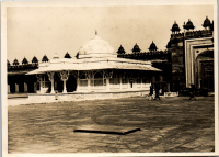 LIV19326