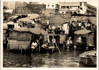 LIV19333