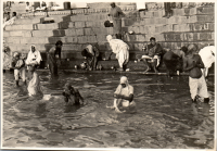 LIV19334