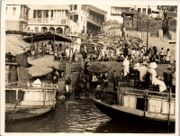 LIV19335