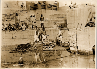 LIV19337
