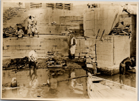 LIV19338