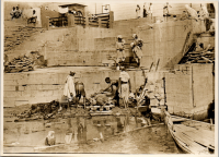 LIV19339