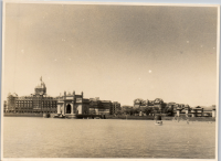 LIV19342