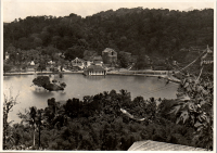 LIV19343