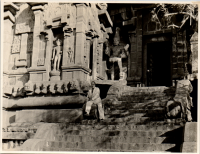 LIV19345