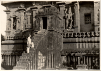LIV19346