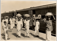 LIV19350