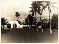 LIV19352