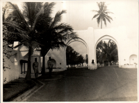 LIV19353