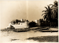LIV19354