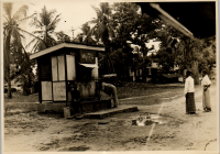 LIV19358