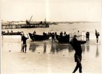 LIV19375