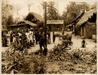 LIV19380