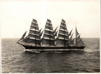 LIV19399