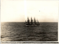LIV19400