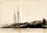 LIV19401