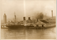 LIV19403