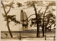 LIV19406