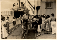 LIV19407
