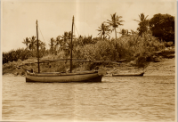 LIV19413