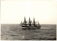 LIV19414