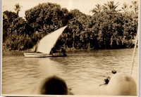 LIV19415