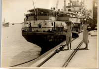 LIV19416